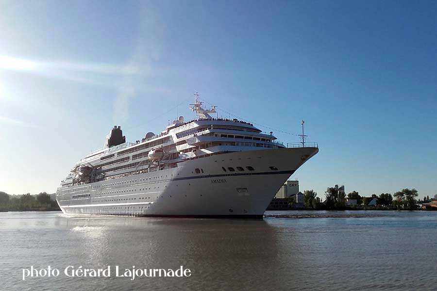 l'Amadea à Bordeaux