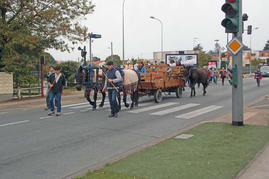 Le cortège emprunte l'avenue des Pyrénées Le cortège emprunte l'avenue des Pyrénées