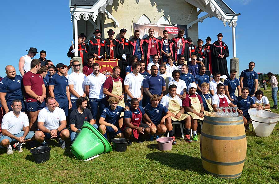 Vendanges dans le bourgeais
