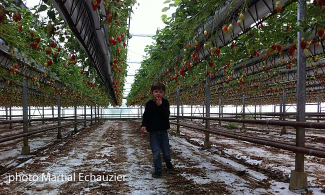 Le fils du producteur est aussi consommateur