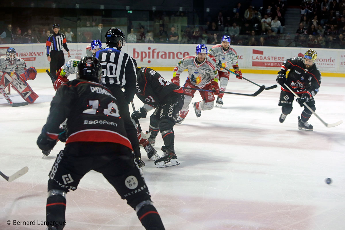 Les Boxers à une marche du sacre de Champions de France