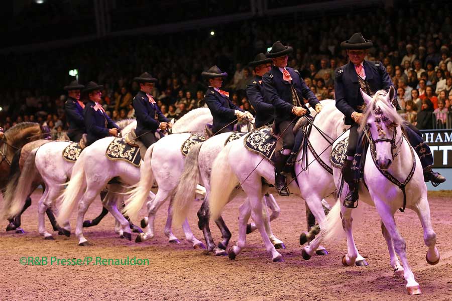 Cómo Bailan los Caballos Andaluces
