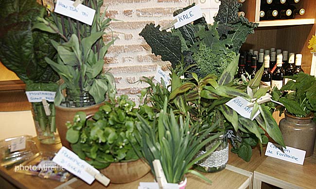 Produits du potager aquatique