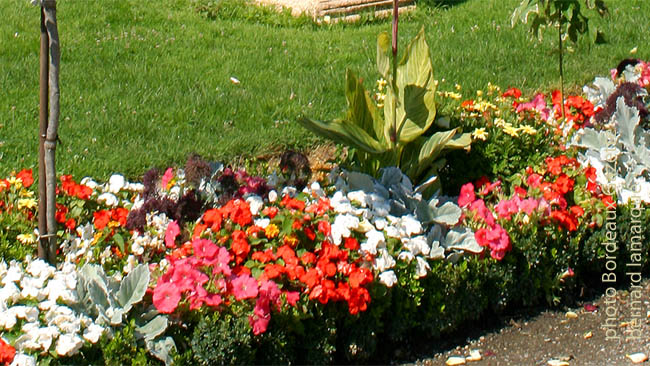  Jardin Public