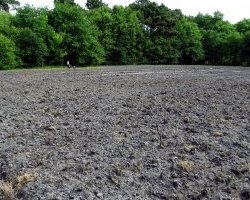 ACPI : un nouveau départ à la Ferme du Peugue à Pessac