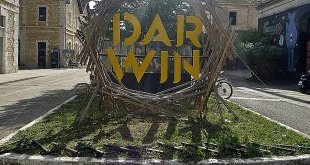 Fip 360 transforme Darwin en dancefloor immersif