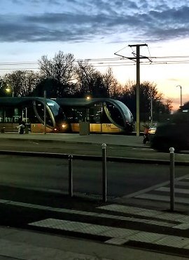 1er mai à Bordeaux : aucun tram, bus ni Bato sur TBM