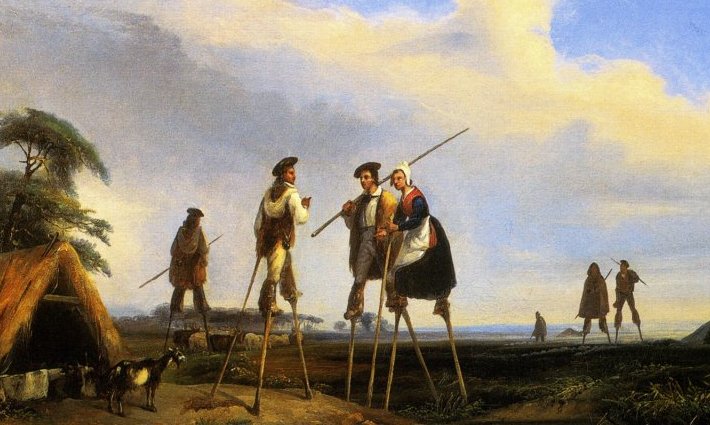 Avant la forêt de pins, le visage oublié des Landes girondines