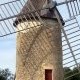 Du grain au pain, la moisson reprend vie en Gironde
