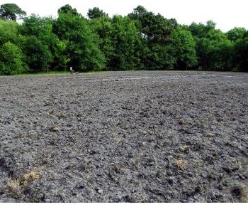 ACPI : un nouveau départ à la Ferme du Peugue à Pessac