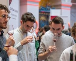 Bordeaux Tasting 2025 : un festival des grands vins au Palais de la Bourse