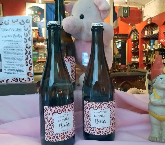Octobre Rose : en Gironde, « Les Petits Boobs » soutiennent l'association Jeune&Rose