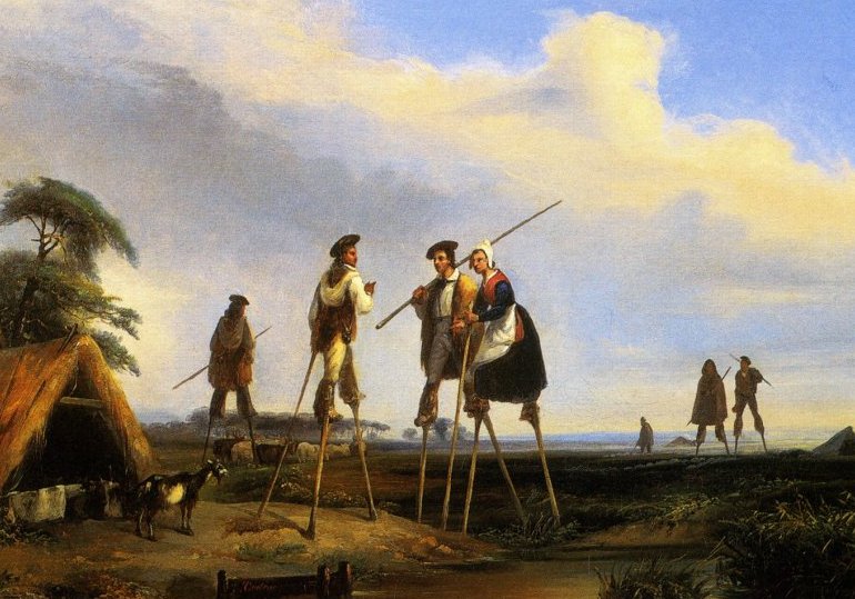 Avant la forêt de pins, le visage oublié des Landes girondines