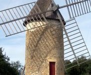 Du grain au pain, la moisson reprend vie en Gironde