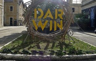 Fip 360 transforme Darwin en dancefloor immersif