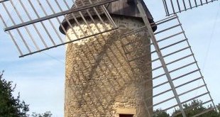 Du grain au pain, la moisson reprend vie en Gironde