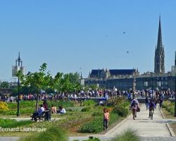 Consommation responsable : Bordeaux conserve la tête du classement national en 2025