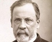 Bordeaux devient ville ambassadrice du Pasteurdon, sur les traces de Louis Pasteur et du vin