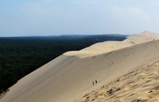 Fête de la Nature : où sortir autour de Bordeaux ?