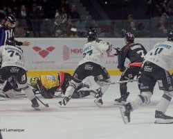 Les Boxers en demi finale du championnat de France