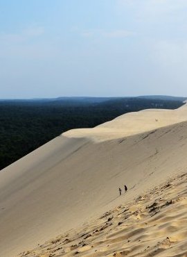 Fête de la Nature : où sortir autour de Bordeaux ?