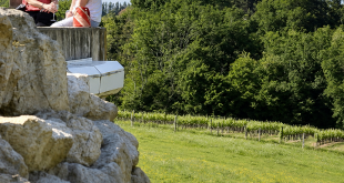 Premières Côtes de Bordeaux : 31 châteaux ouvrent leurs portes