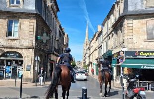 Bordeaux : la police à cheval attire les regards à Saint-Michel