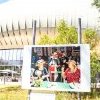 Martin Parr à la Cité du Vin : le regard côté jardin