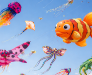 Cerfs-volants : un week-end grand spectacle à 2h de Bordeaux