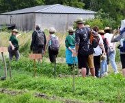 À Eysines, le Raid des Maraîchers ouvre les portes du potager de Bordeaux