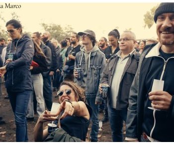 Green Paradize 2026 : à Bègles, une deuxième édition qui voit plus grand