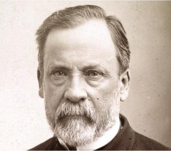 Bordeaux devient ville ambassadrice du Pasteurdon, sur les traces de Louis Pasteur et du vin