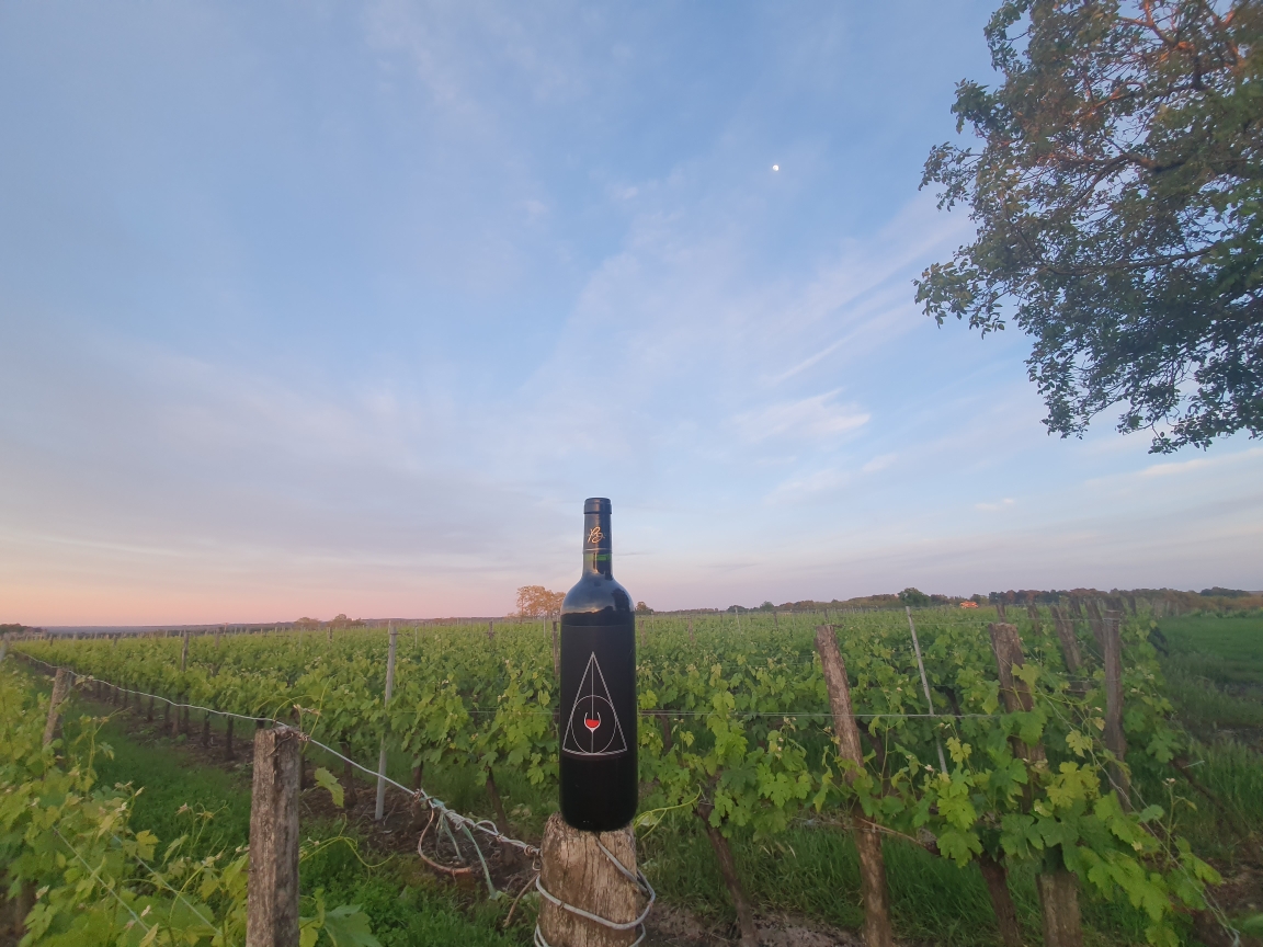 Le château Haut-Beynat met la magie en bouteille