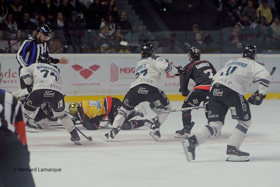 Les Boxers en demi finale du championnat de France