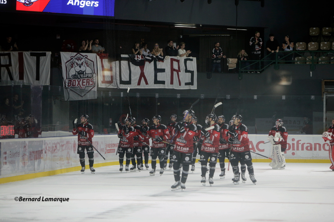 Les Boxers entendent bien challenger les meilleurs en ligue Magnus