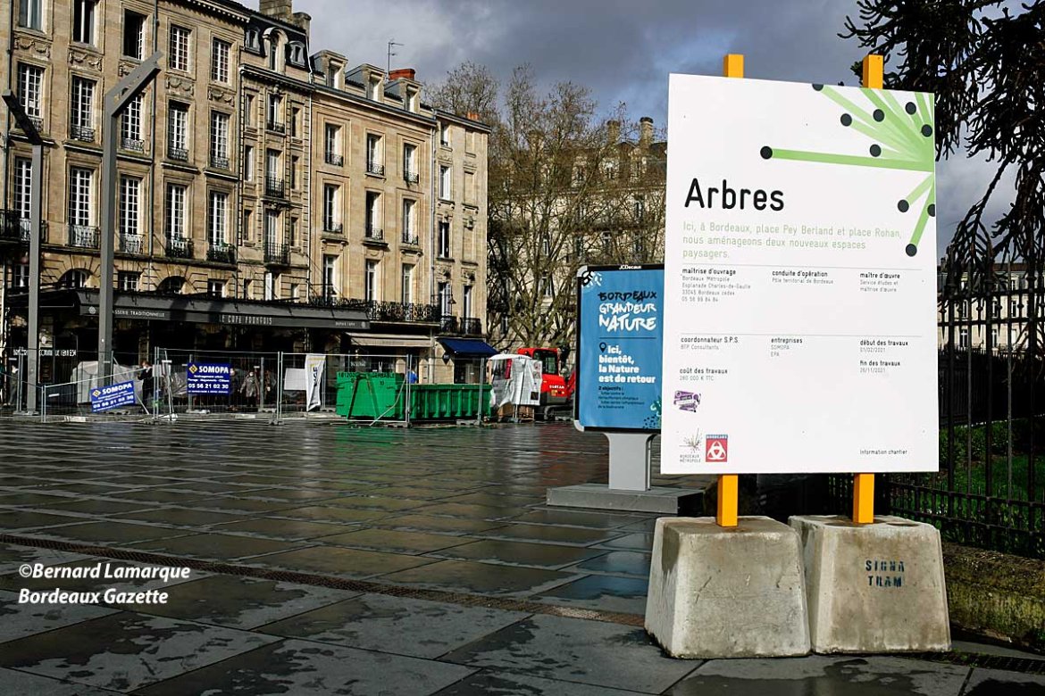 La végétalisation de Pey-Berland, une priorité pour l'équipe municipale