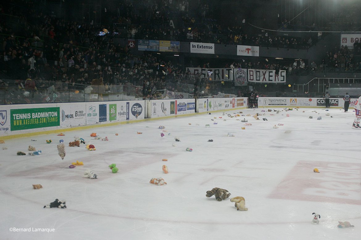 Une opération peluches réussie pour les Boxers