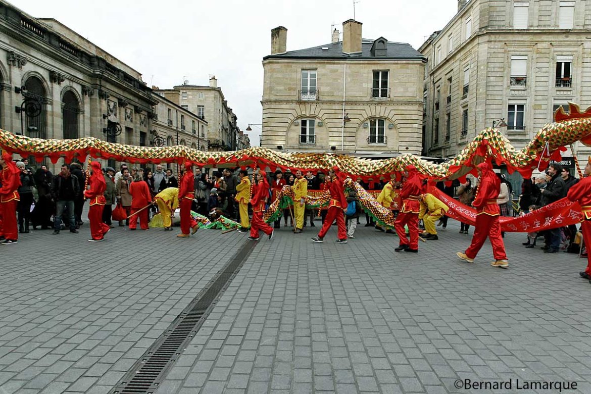 Le nouvel an chinois sous le signe du tigre d'eau