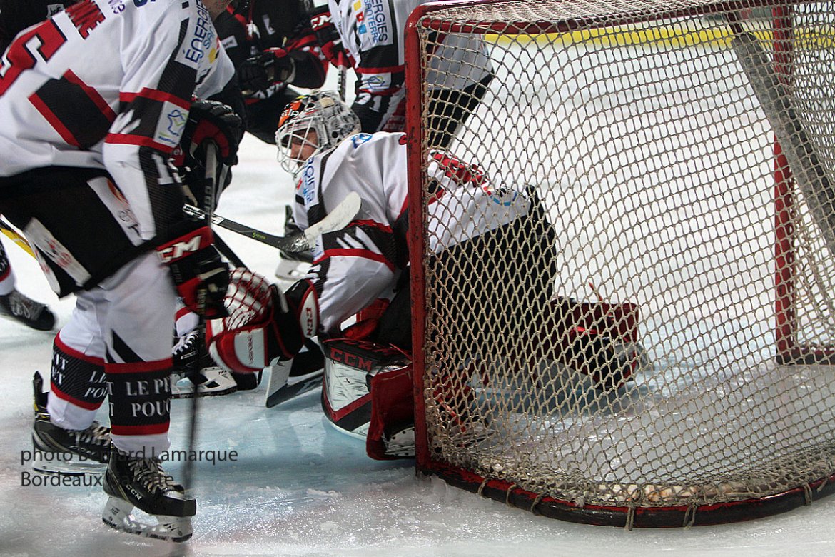 Les Boxers en positif après leur victoire face aux Gothiques d'Amiens