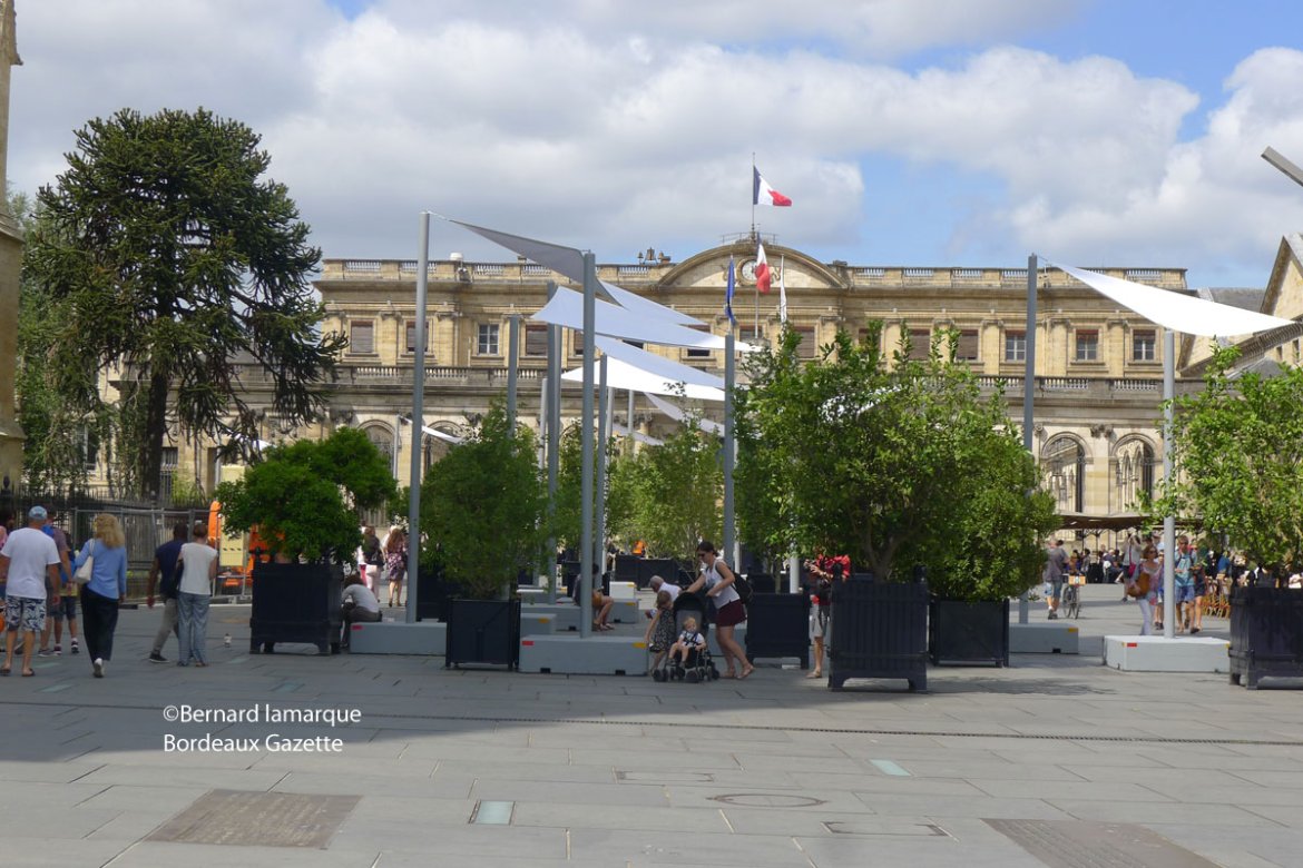 L'arbre et le végétal au cœur du débat bordelais