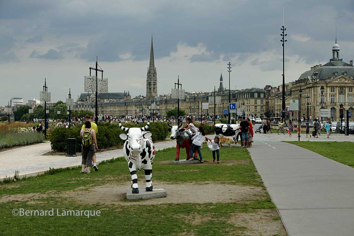 Souvenirs de Bordeaux Fête le Vin 2010 #2
