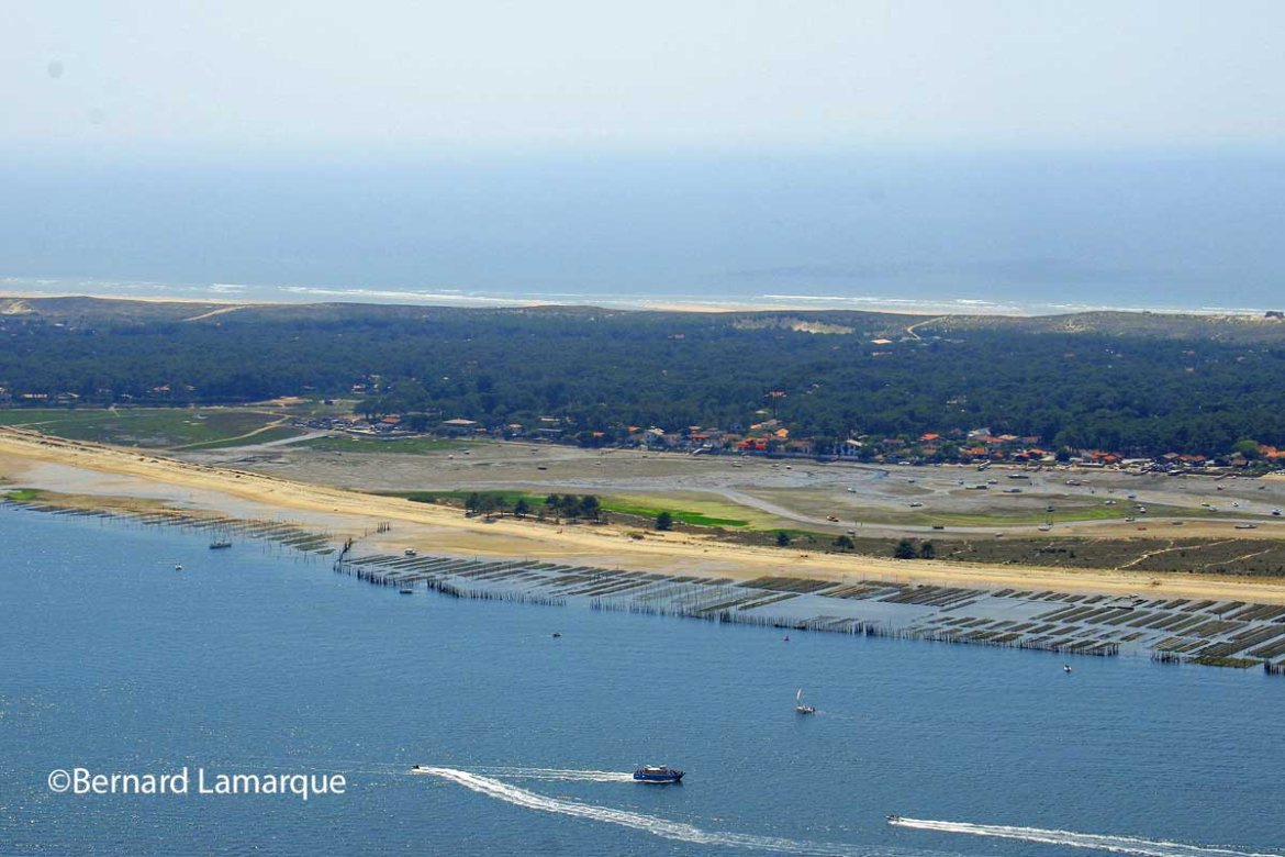 La pression monte dans les ports ostréicoles du Bassin d'Arcachon !