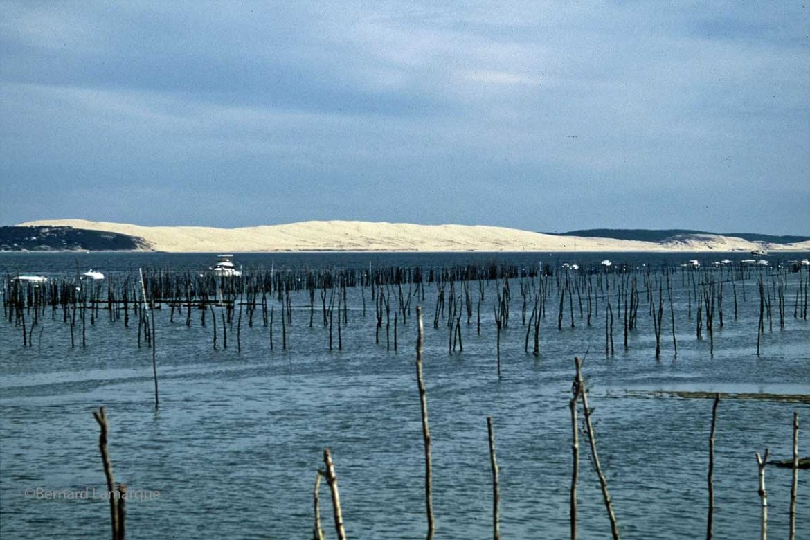 Nouvelle-Aquitaine, un littoral toujours attractif