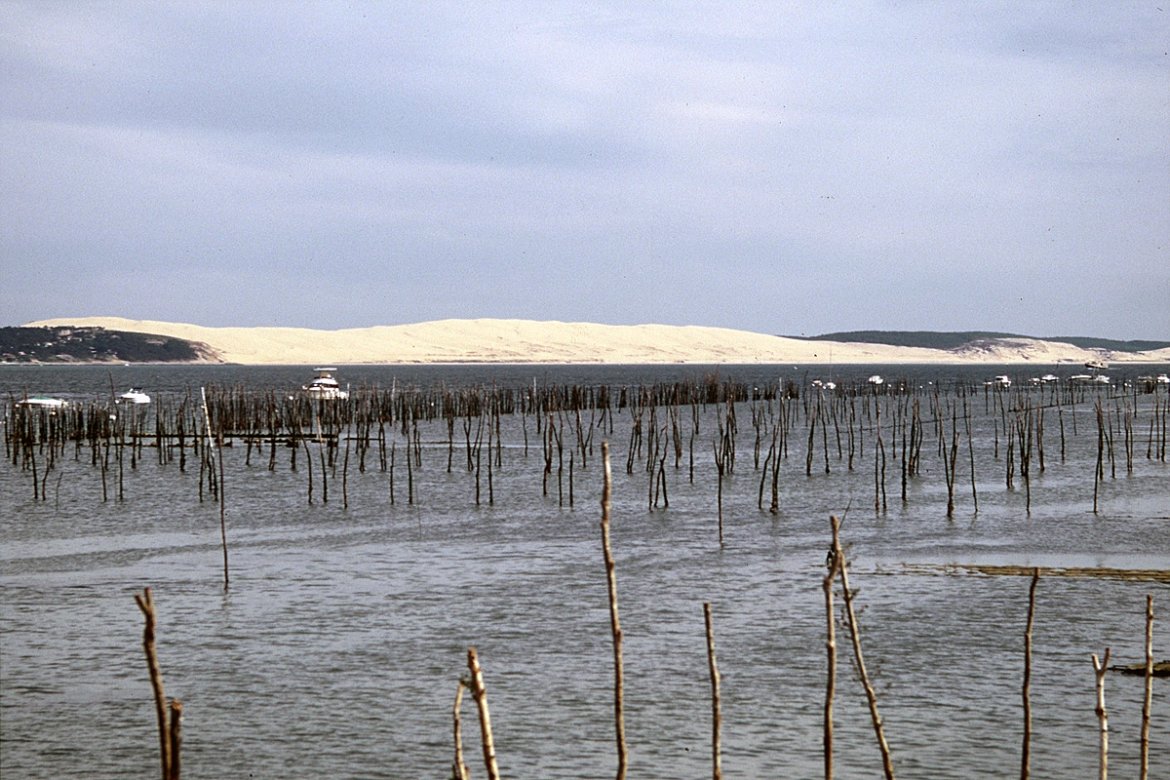 Un début 2025 difficile pour l'économie néo-aquitaine
