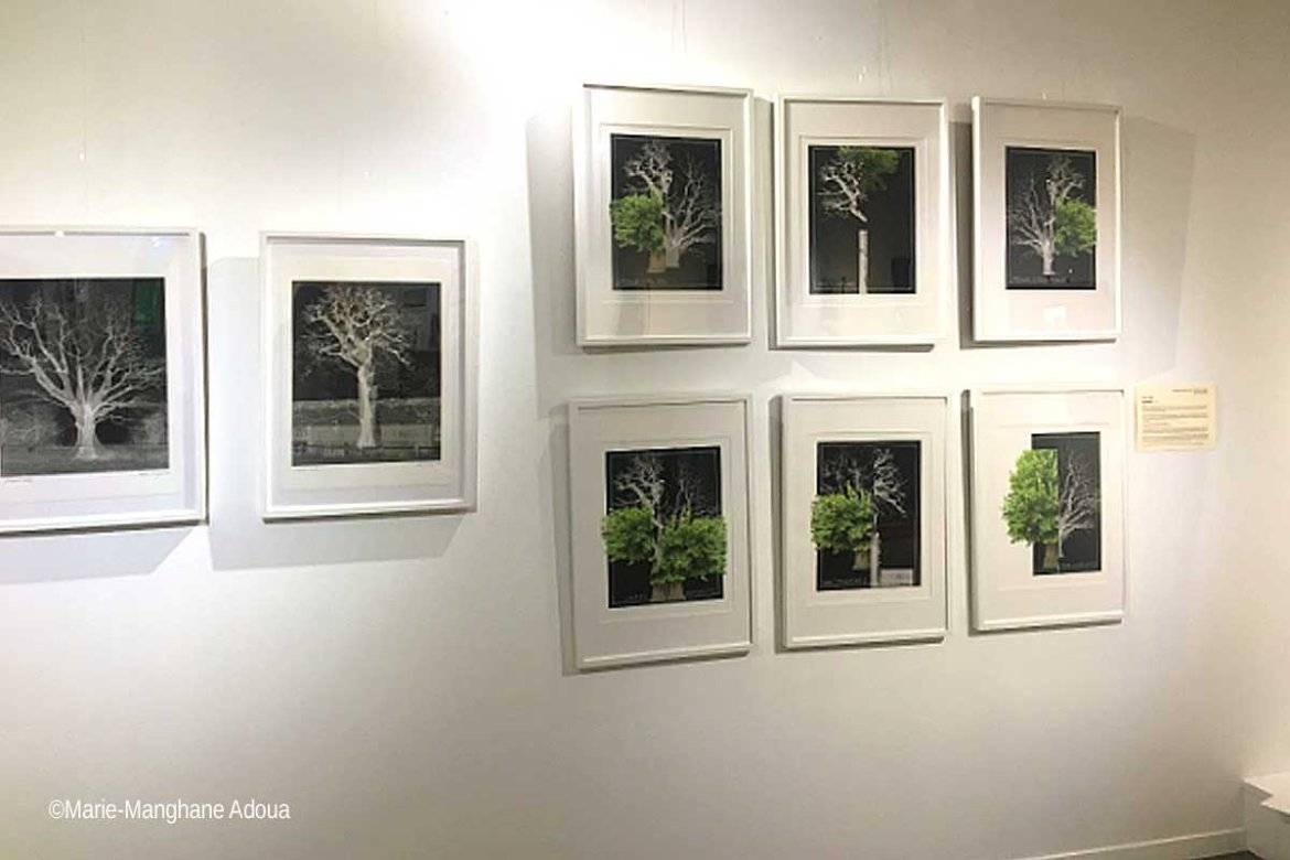 Exposition « Human Nature/ Nature Humaine » au Jardin Botanique à Bordeaux
