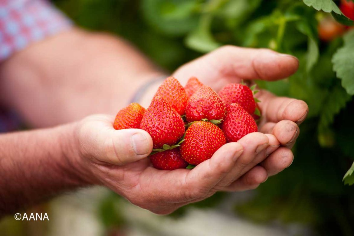 La plateforme solidaire avec les producteurs et artisans de Nouvelle-Aquitaine.