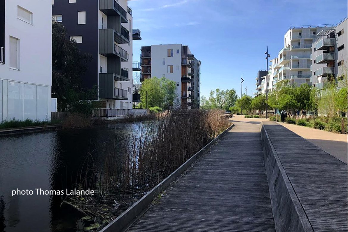 Ginko : recherche désespérément vie de quartier