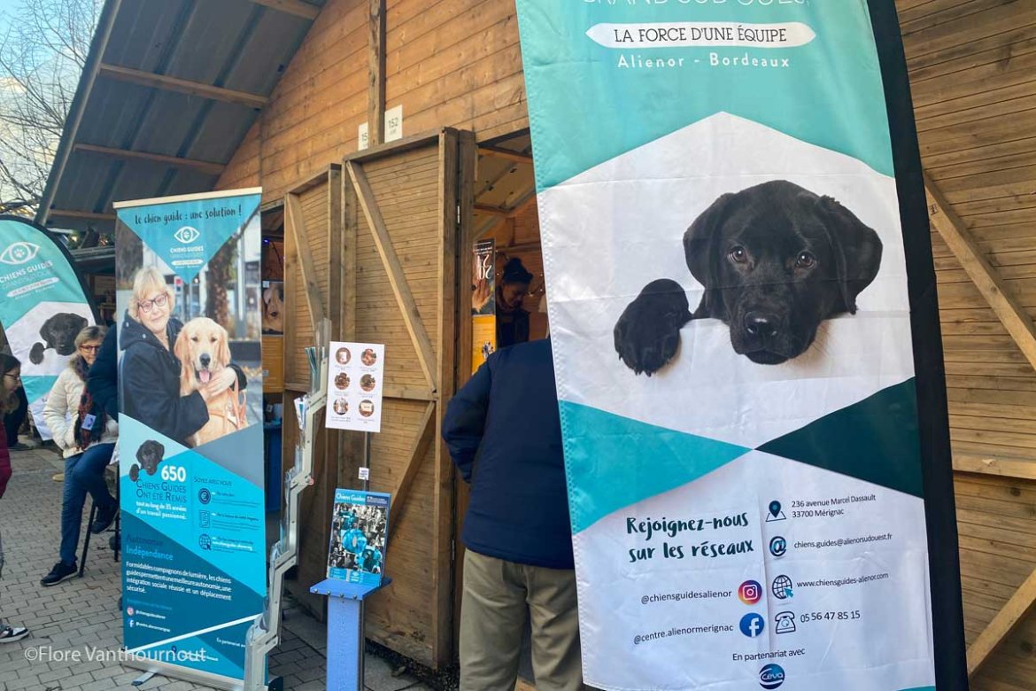 Les chiens guides s'invitent au Marché de Noël