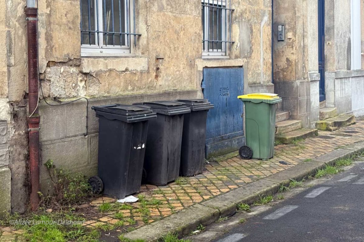 Collecte des déchets : ce qui change à Bordeaux