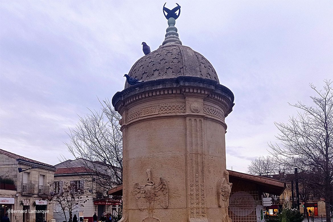 “Bordeaux Ensemble” questionne le maire sur la place des pigeons en ville